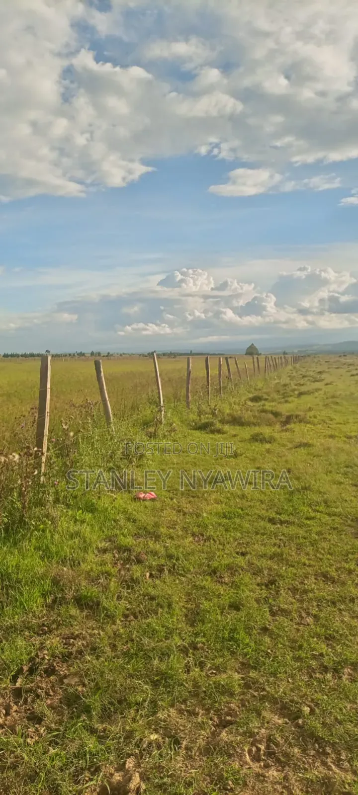 4 Acreas Narumoro Nanyuki
