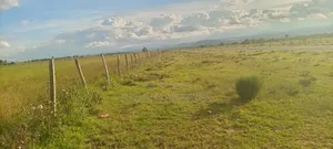 4 Acreas Narumoro Nanyuki
