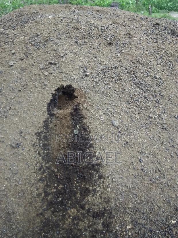 Pure Manure - main view