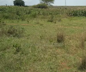 23,000 Acres for Sale in Tana River, Has River, Ksh. 350,000/Acre
