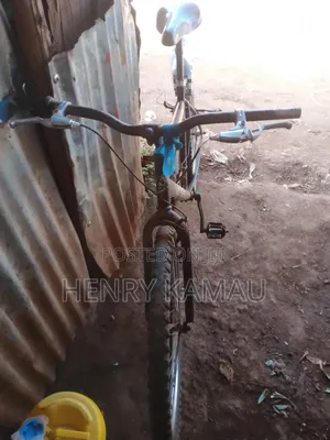 Pro Bike Mountain Bike