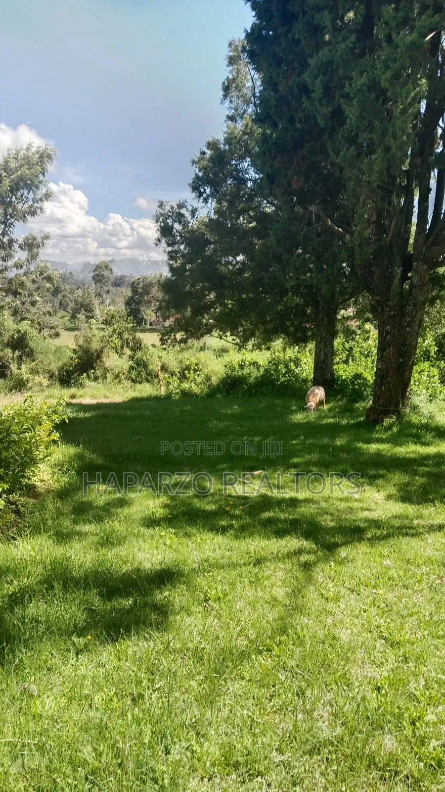 2bdrm Farm House in Lari/Kirenga for rent