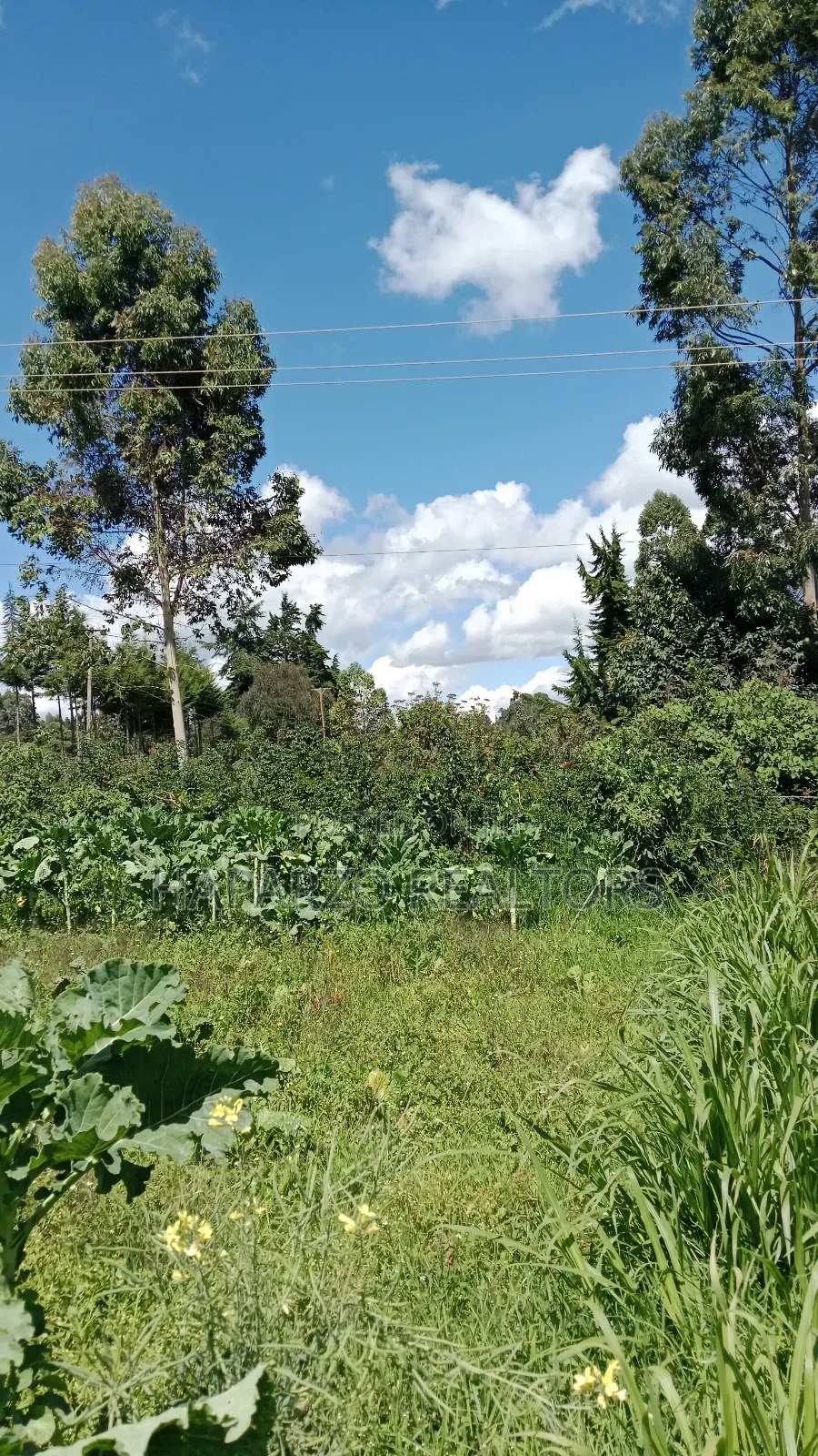 2bdrm Farm House in Lari/Kirenga for rent