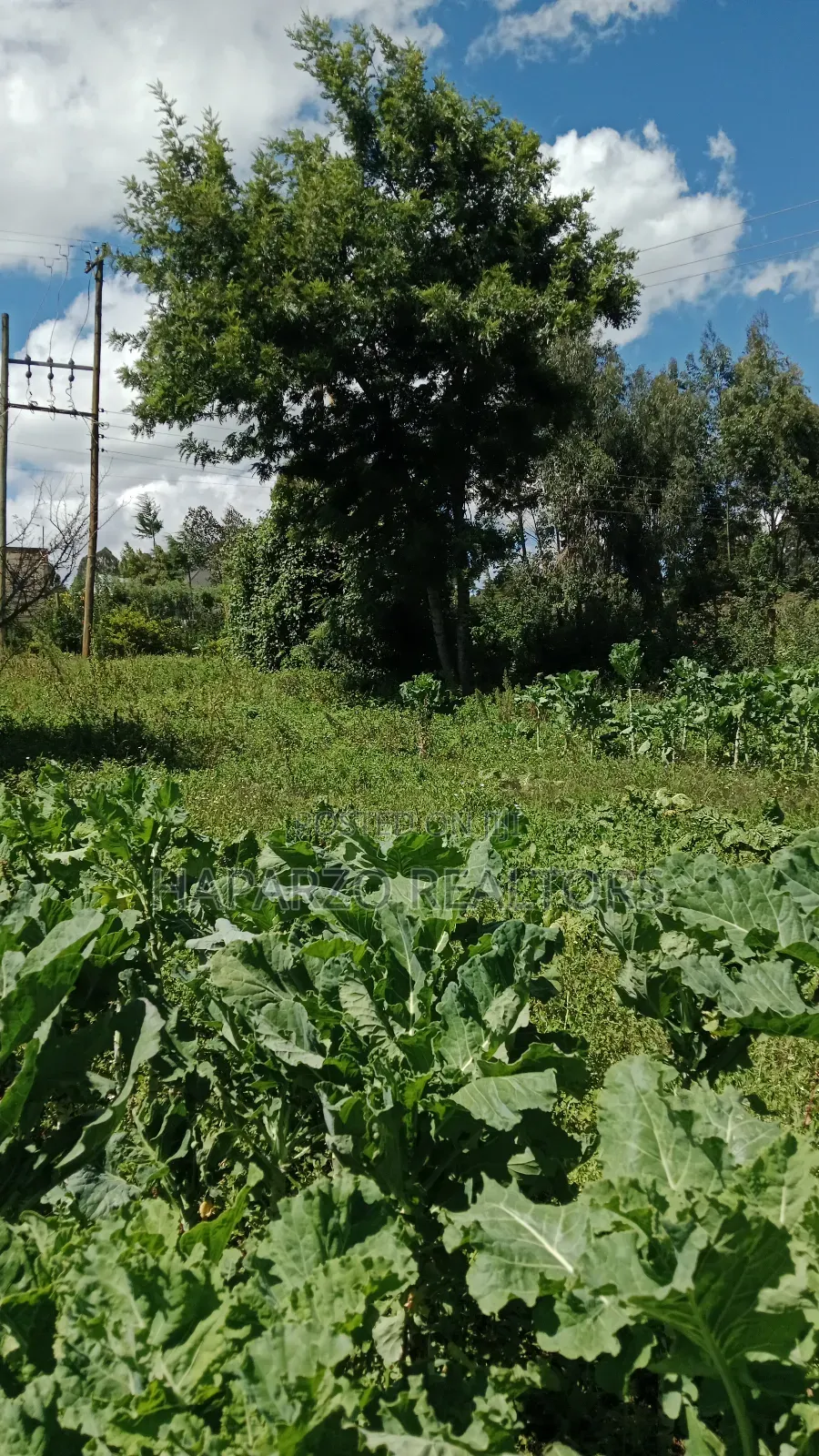 2bdrm Farm House in Lari/Kirenga for rent