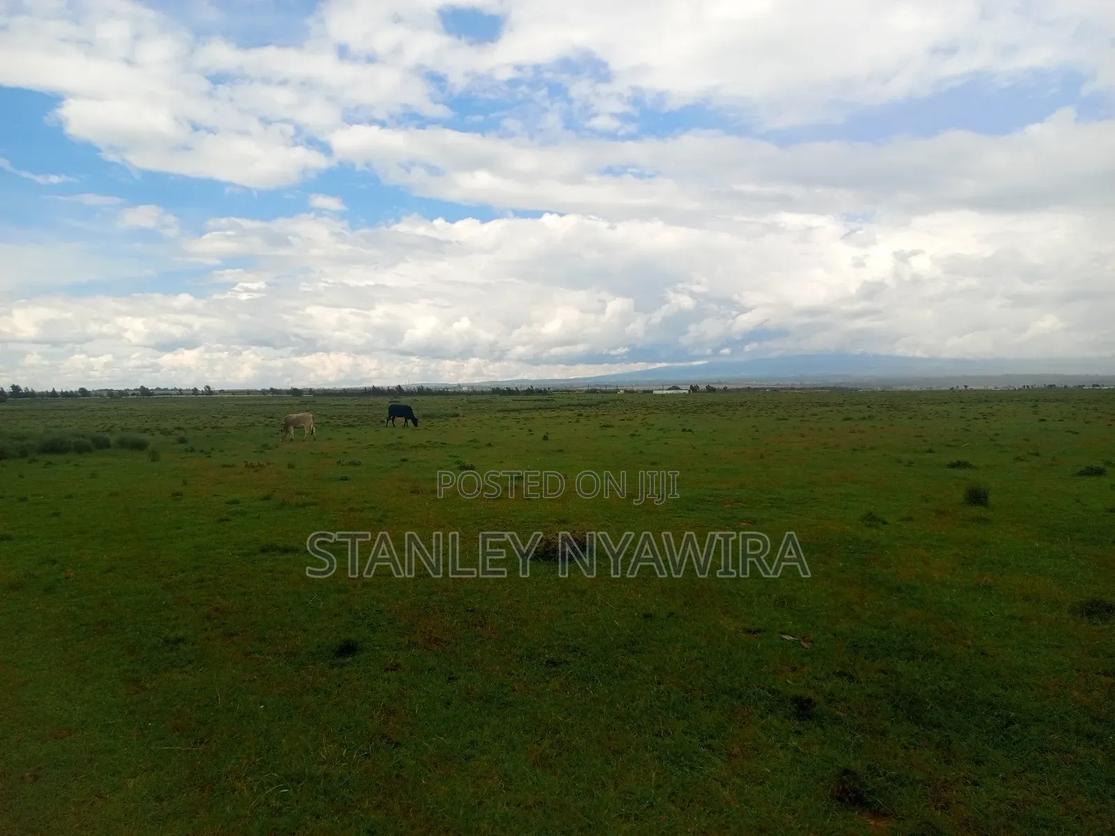 7 Acrea in Lussoi Near Narumoro via Nanyuki