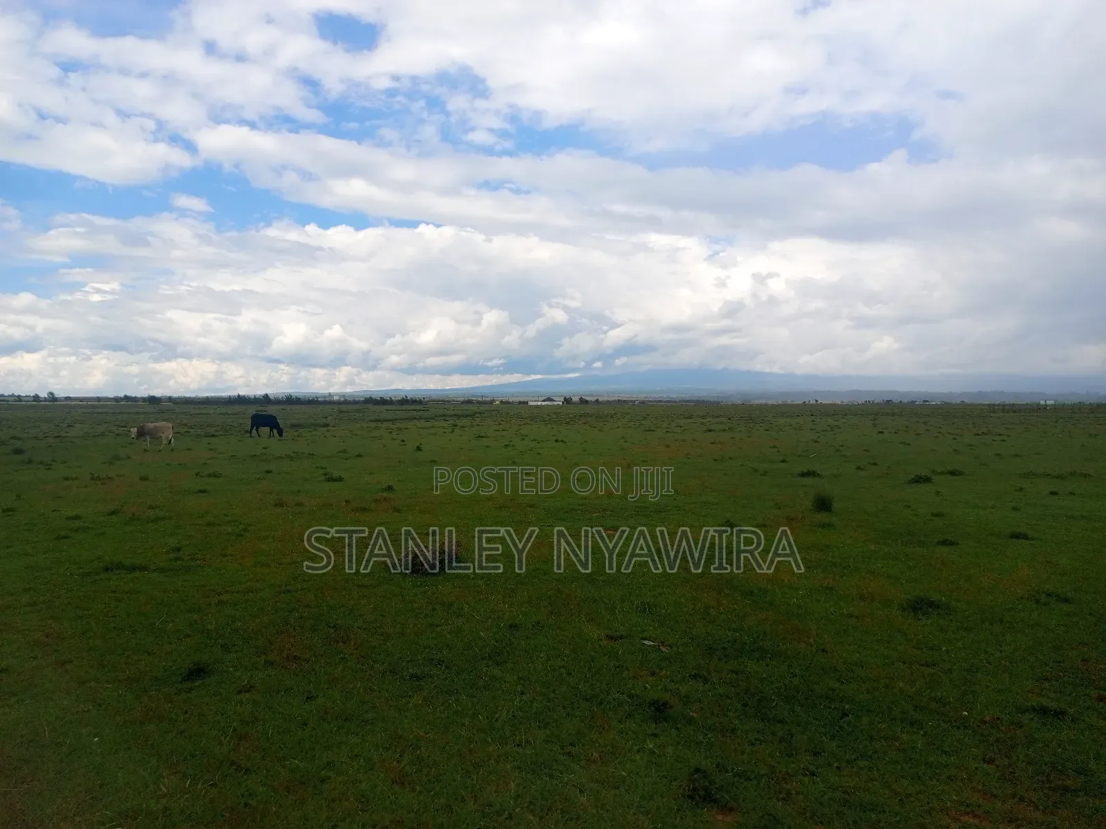 7 Acrea in Lussoi Near Narumoro via Nanyuki
