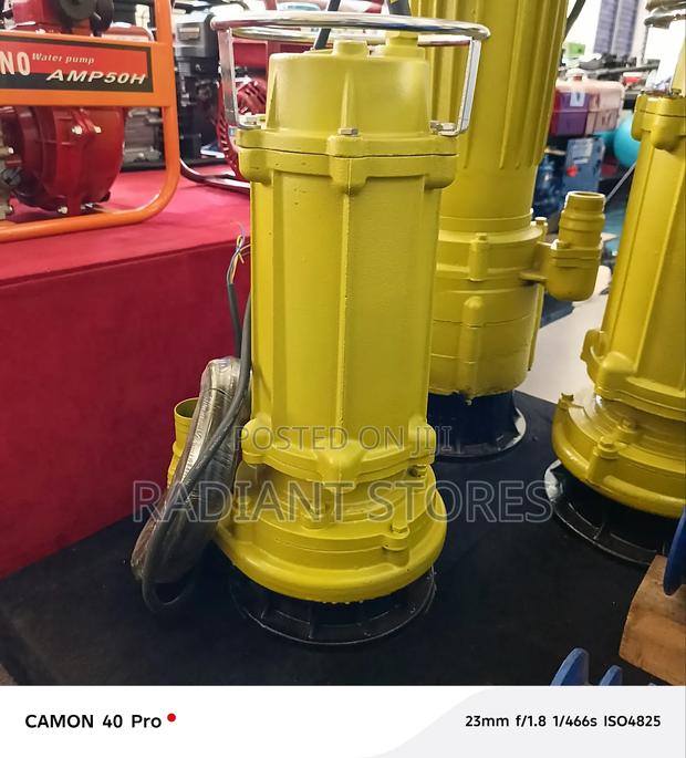 Aico 5.5hp Sewage Pump