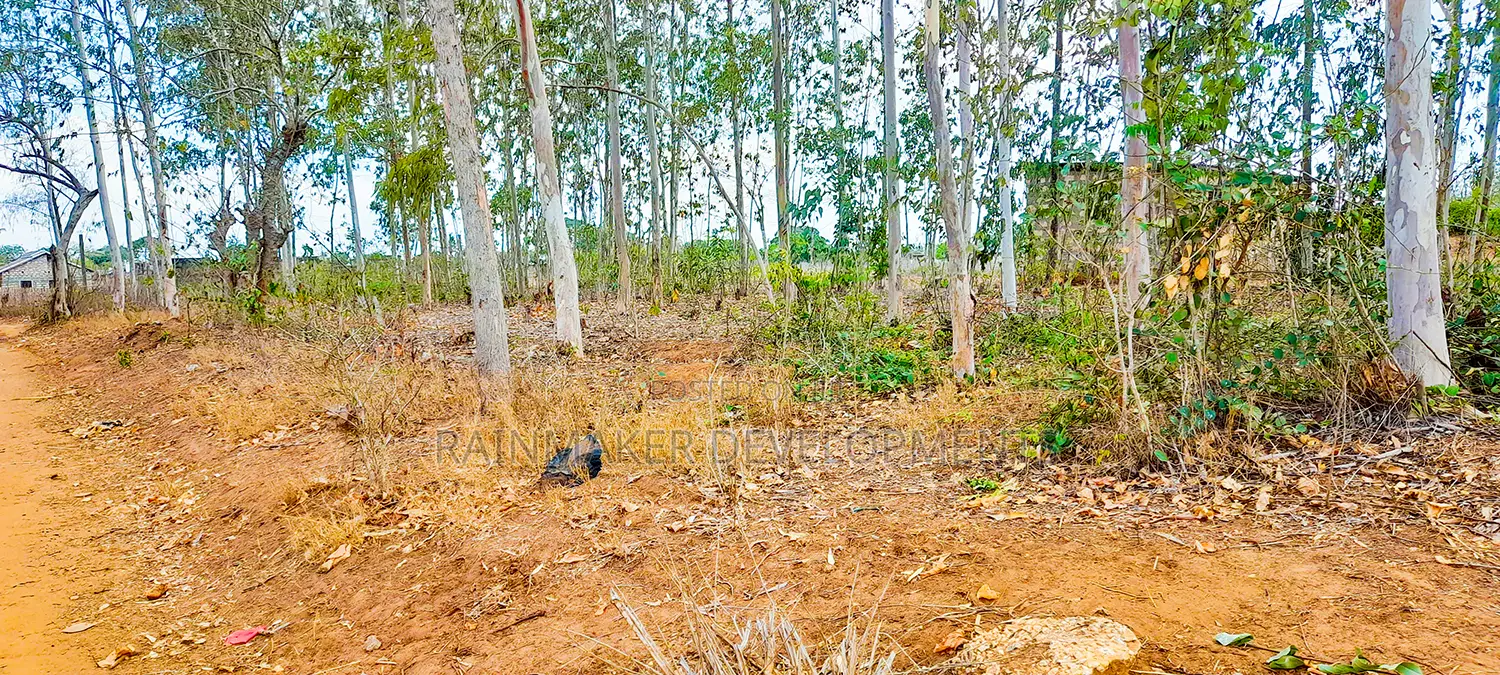 4.3 Acres Highway Frontage Plot For Sale – Mavueni