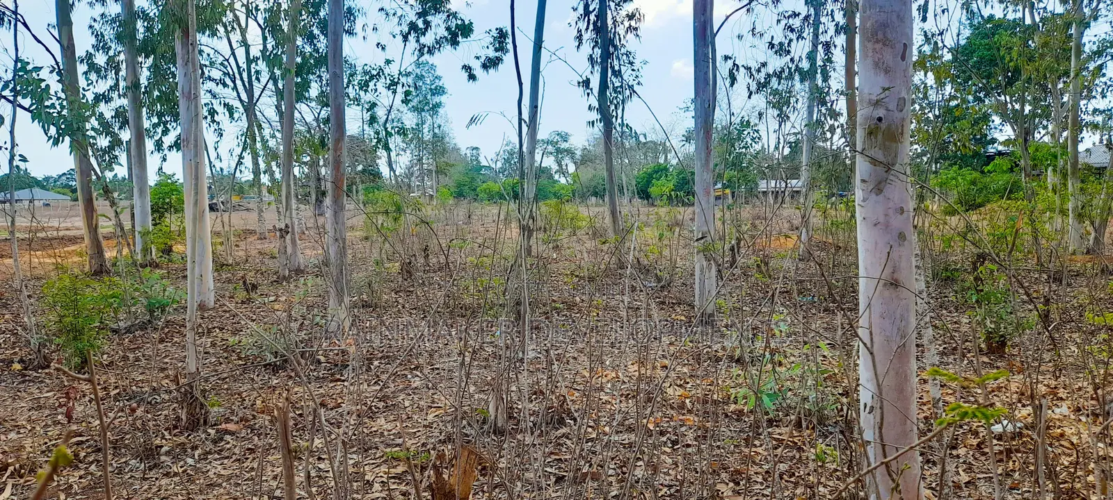 4.3 Acres Highway Frontage Plot For Sale – Mavueni