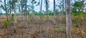 4.3 Acres Highway Frontage Plot For Sale – Mavueni
