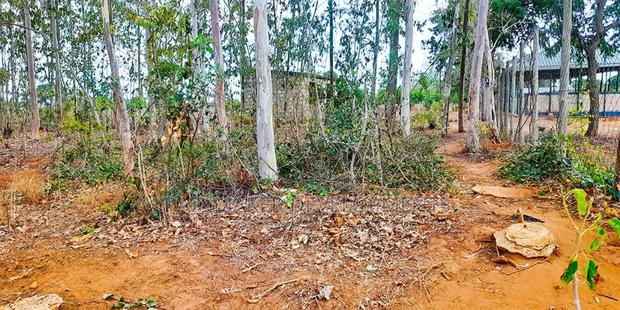 4.3 Acres Highway Frontage Plot For Sale – Mavueni - thumbnail 6