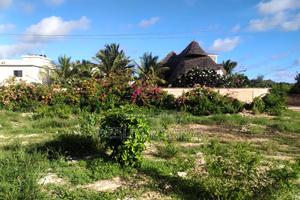 Second Row Beach Plot