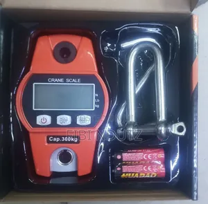 Crane Hanging Scale/300kg Weighing Scale