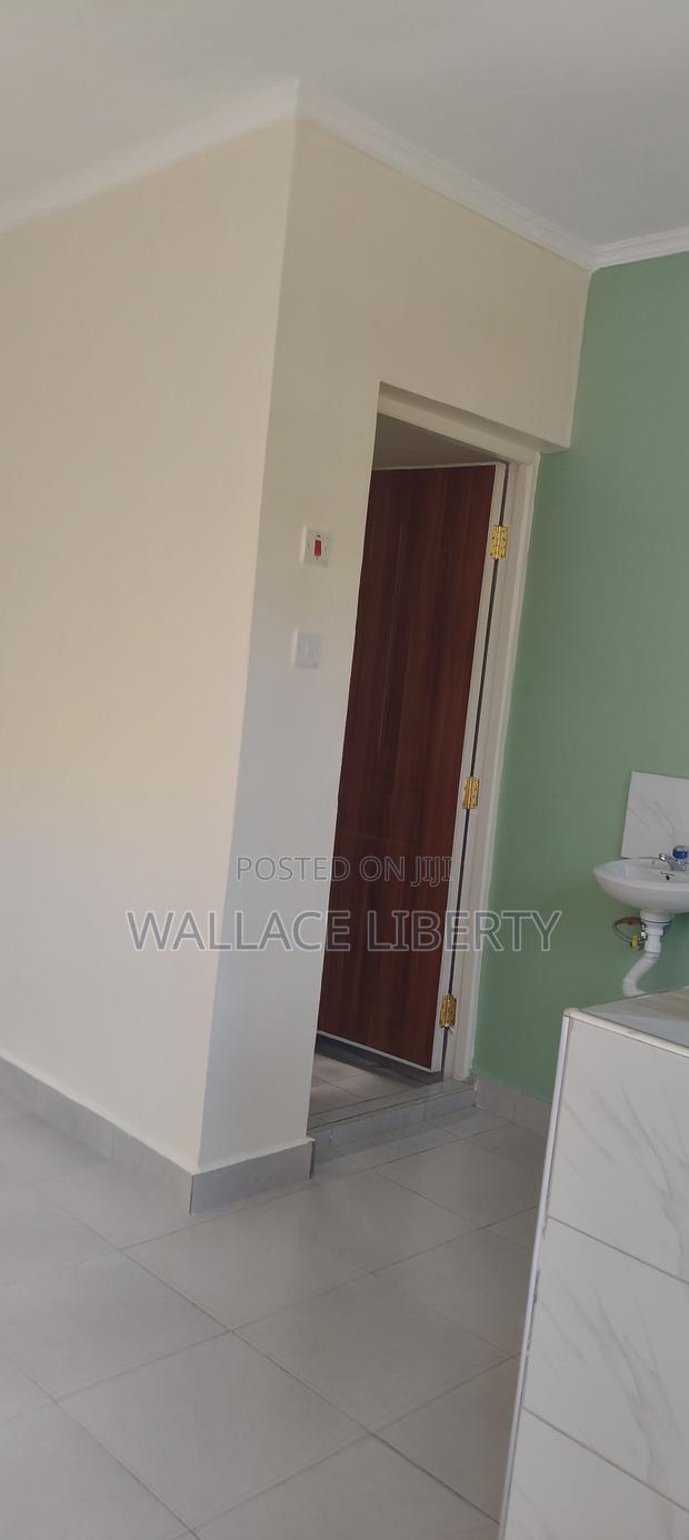 1bdrm Bedsitter in Ruthimitu for rent - thumbnail 8