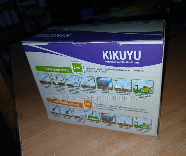 Kikuyu Grass (Lawn Seeds) - thumbnail 3