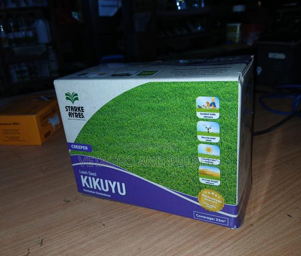 Kikuyu Grass (Lawn Seeds)