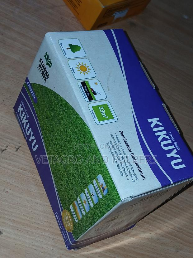 Kikuyu Grass (Lawn Seeds) - thumbnail 2
