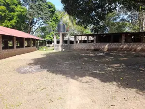 Fully Operational 2 Acre Pig Chicken Farm - Majengo, Mtwapa
