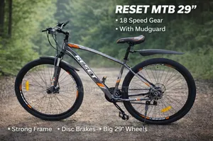 Bike Size 29 With Disc Brakes and Mudguard