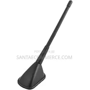Decorative Car Antenna