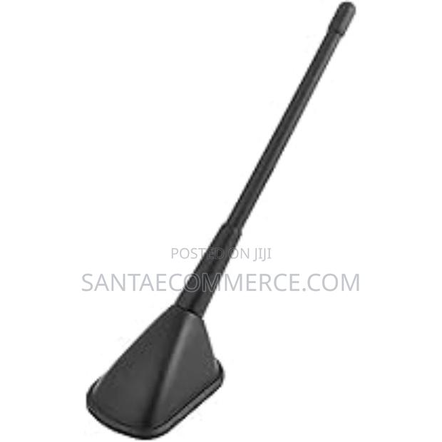 Decorative Car Antenna - main view