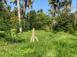 Prime 2.25 Acres for Sale – Mtwapa–Kikambala