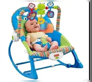 Infant to Toddler Baby Rocker