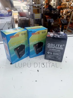 6v Gd Lite Battery