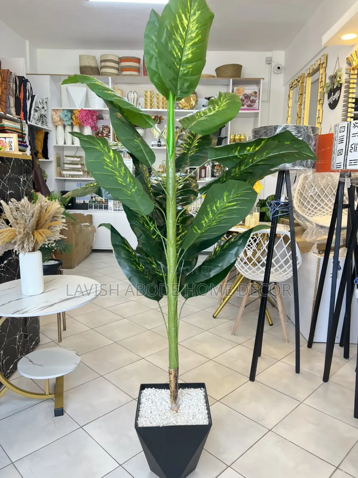 Artificial Dum Plant.