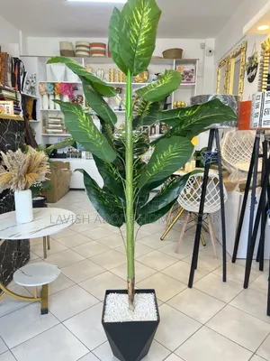 Artificial Dum Plant.