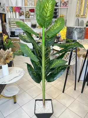 Artificial Dum Plant.