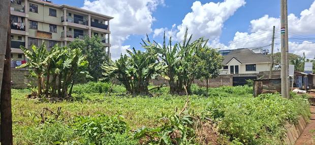 100x100 Commercial Plot Available for Sale in Gathiga - thumbnail 4