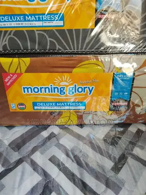 Morning Glory Mattress 4 by 6, 10 Inches Plain, Foam Mattress