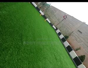 Rooftop 25mm Thickness Grass Carpet on Offer