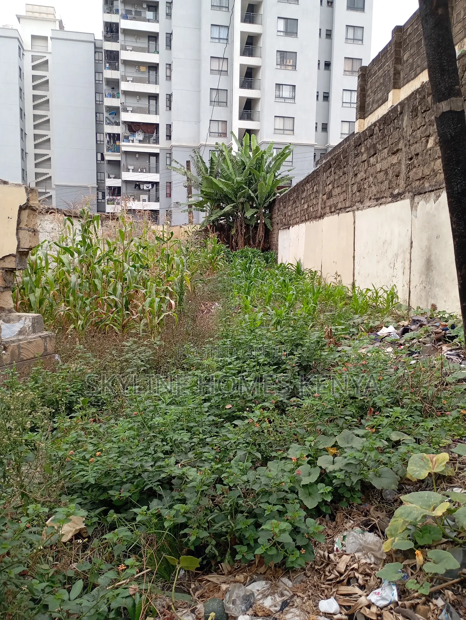 Pangani - 3/4 - Commercial Plot - Quick Sale