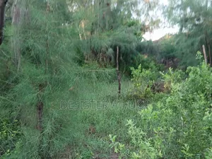 Beach Plot for Sale