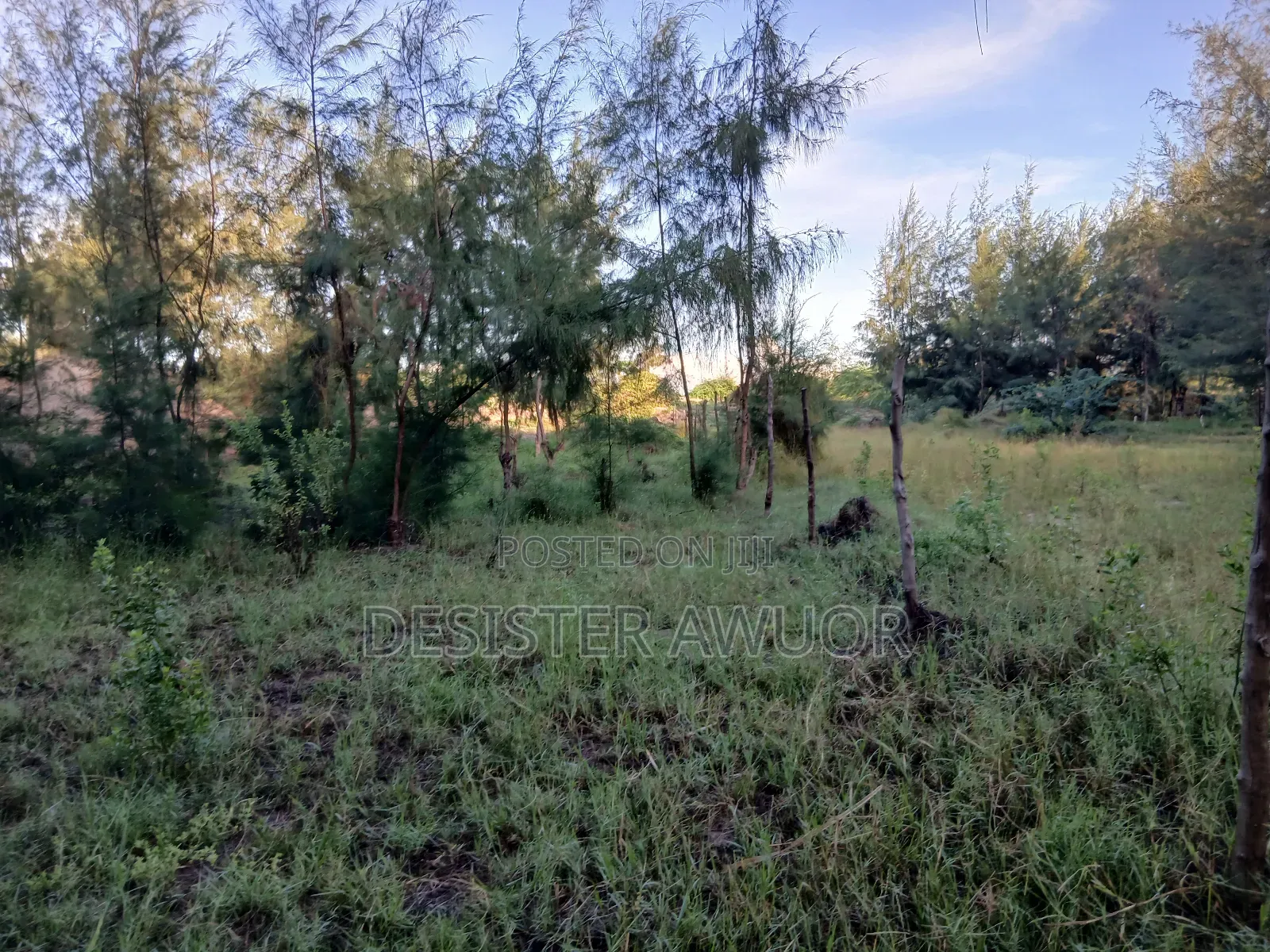 Beach Plot for Sale