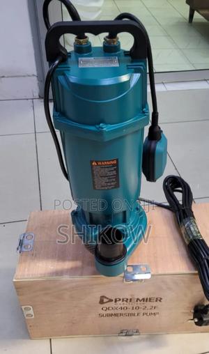 Premier QDX 3hp Submersible Pump