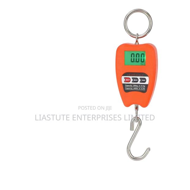 200kgs Crane Scale