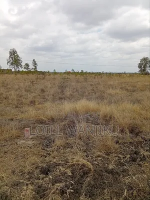 Juja Farm Plots for Sale