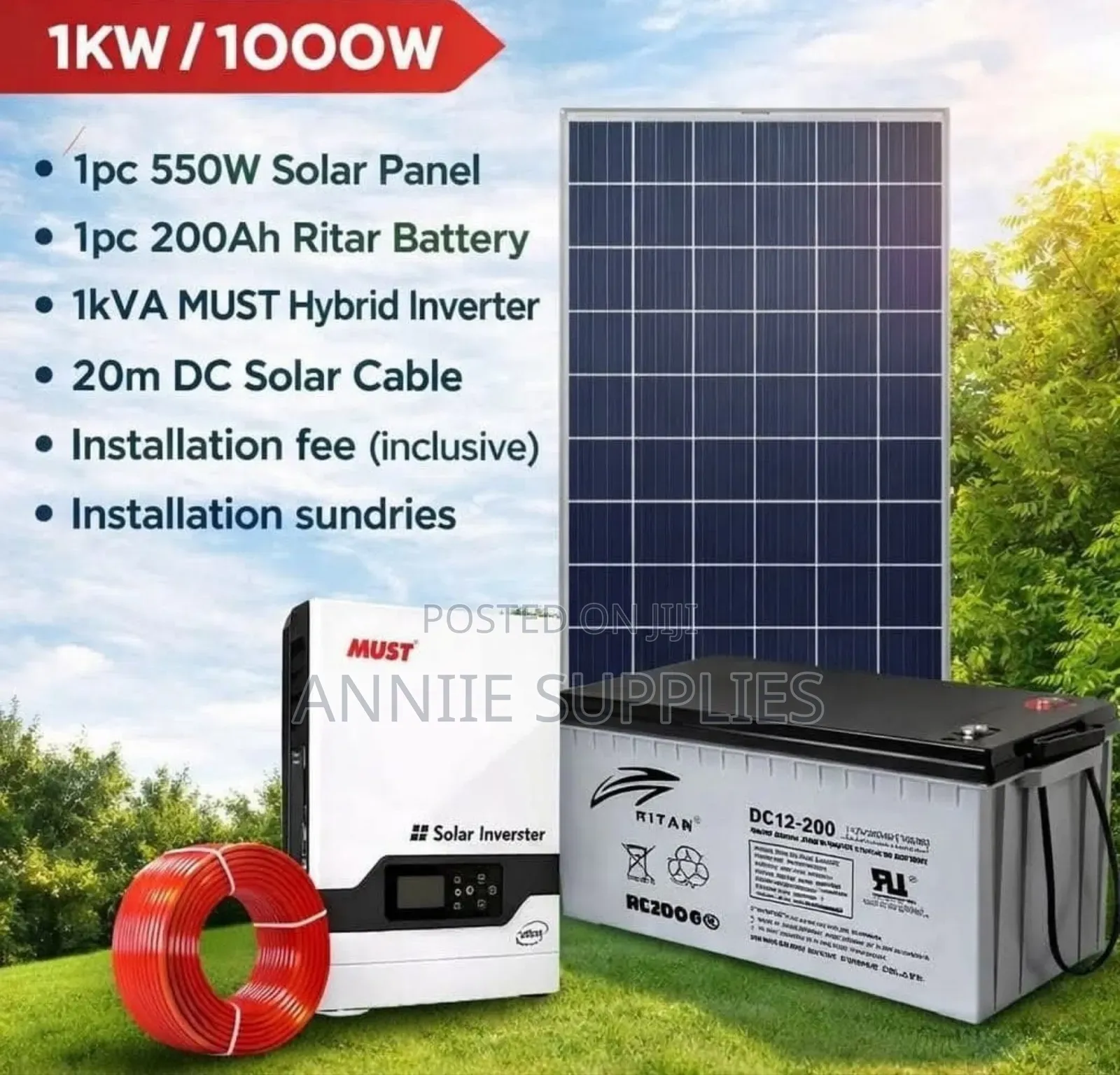 1000w /1kva Hybrid System