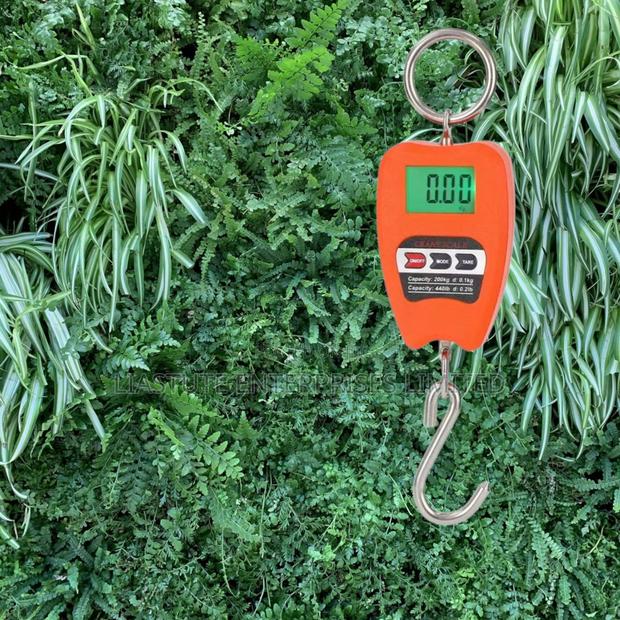 Scale 200kgs - Electronic Hanging Crane Scale
