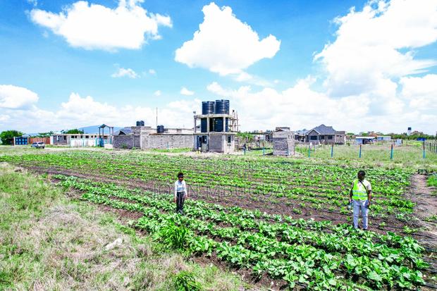 Malaa 50x100 Plots for Sale - thumbnail 2
