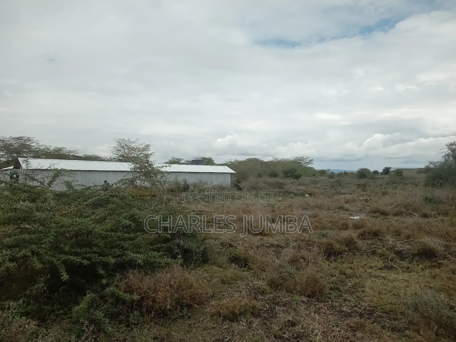 Prime Plot at Korompoi