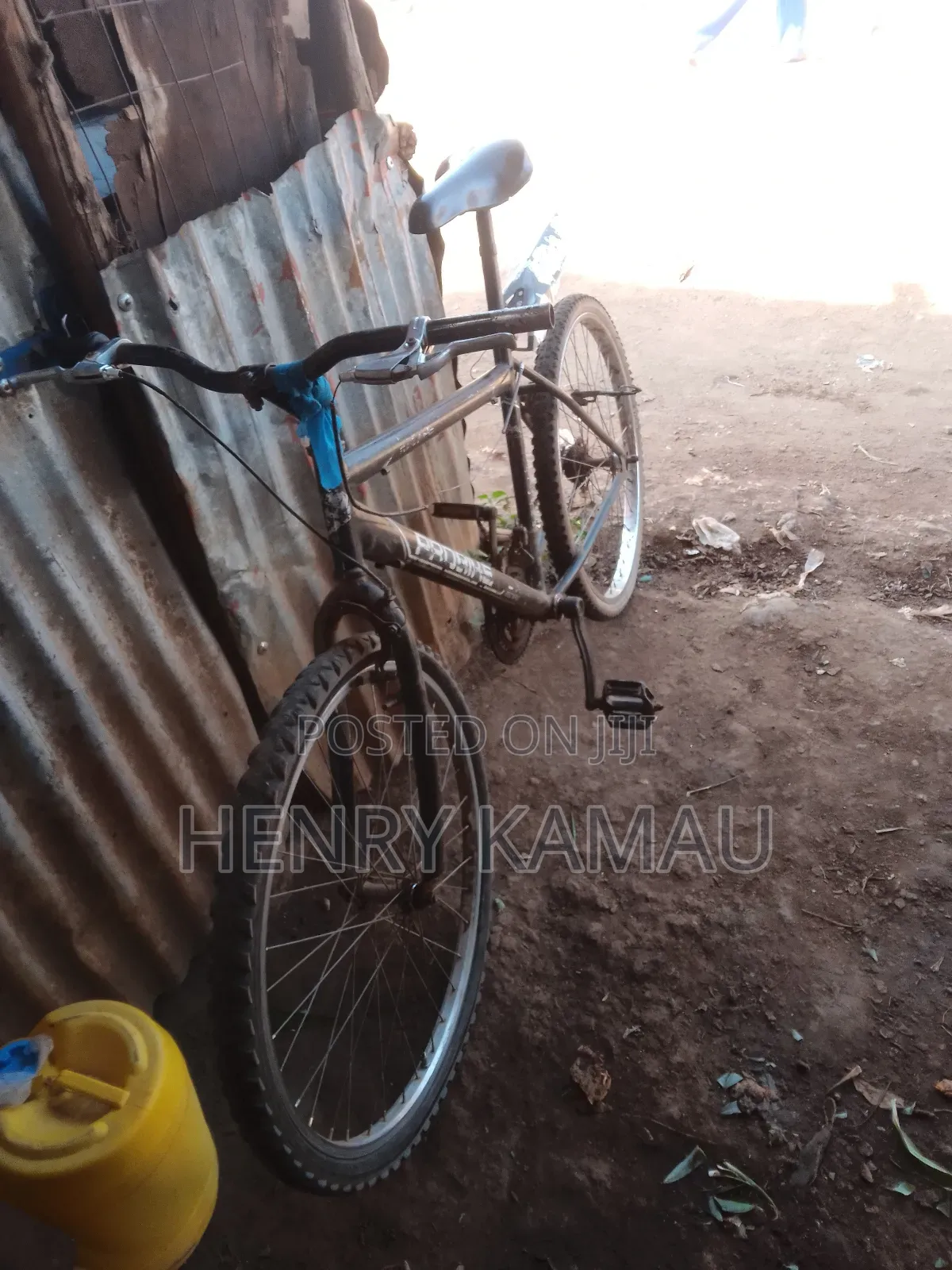Pro Bike Mountain Bike