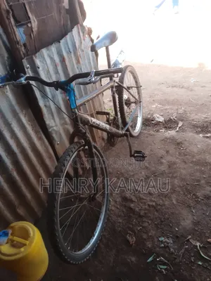 Pro Bike Mountain Bike