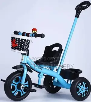 Tricycle With Push Handle- Boy's Version