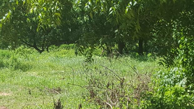 Prime 1⁄4 Acre Plot for Sale – Diani South Coast
