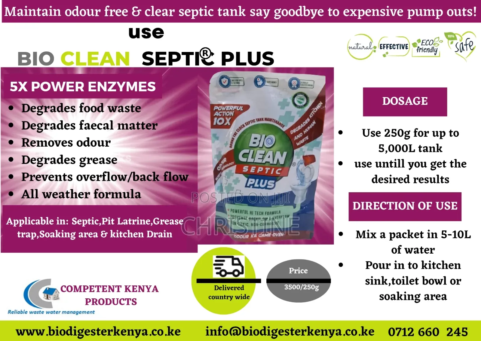 Septic Bacteria