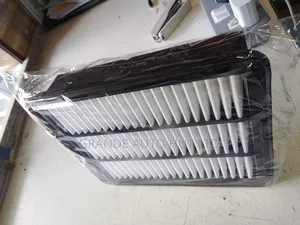 Air Filter Mazda Cx-5 (Zyc Brand)